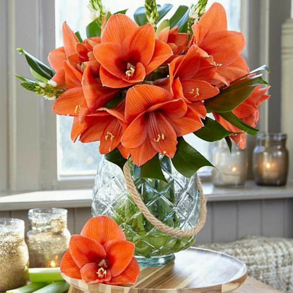 Meet your Posher, Desiree